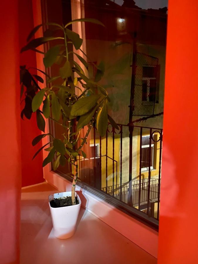 31 Котлярська Apartment Lviv Exterior photo
